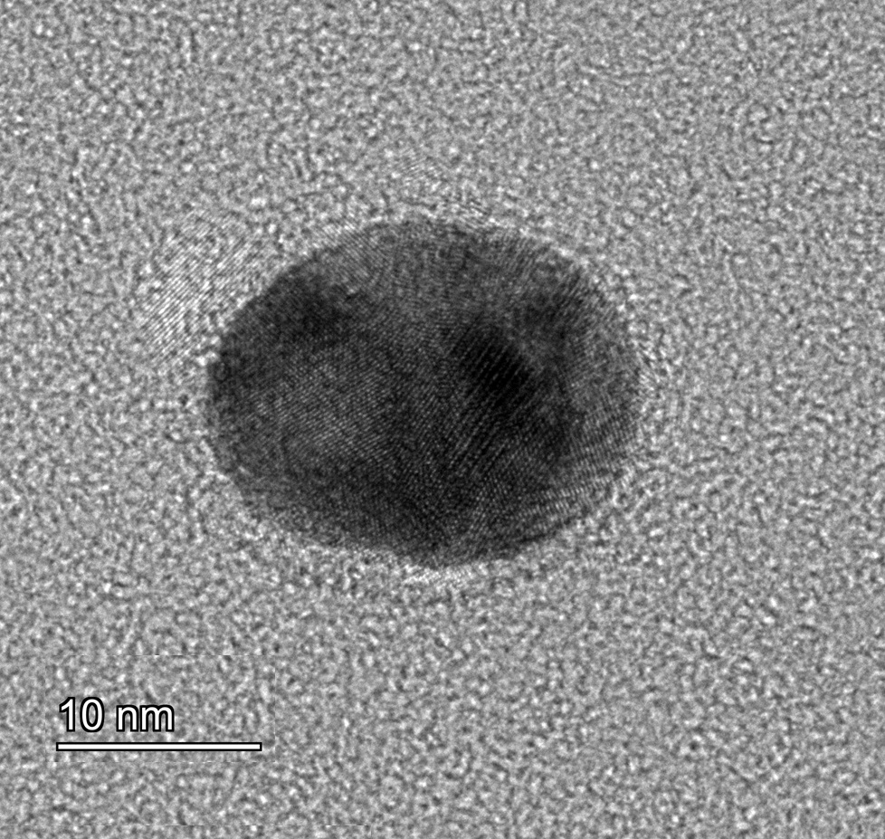 Gold nanoparticle TEM